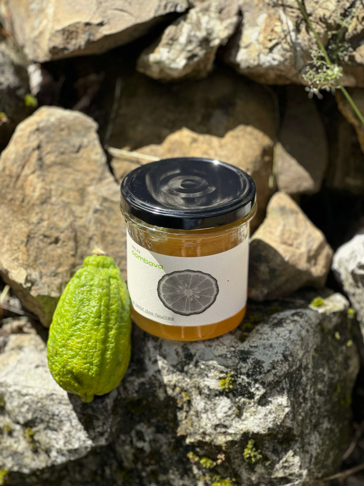 Gelée de combava