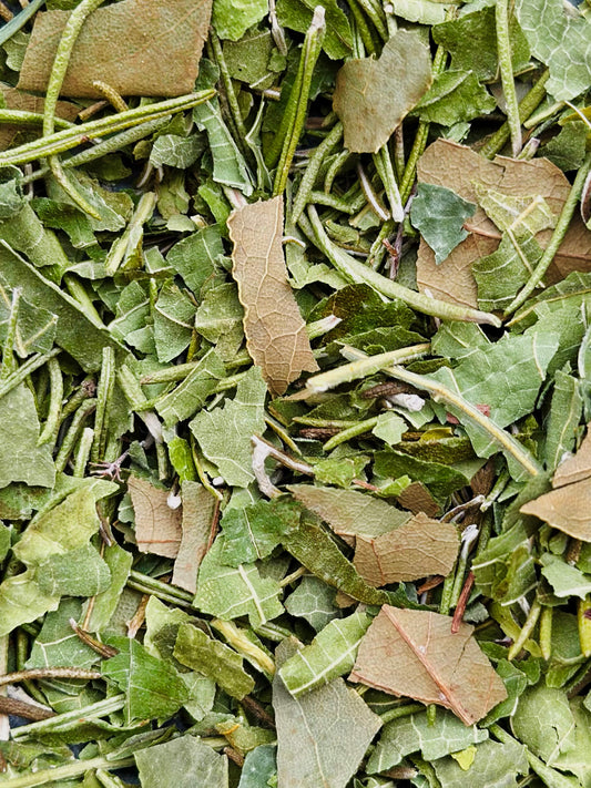 Tisane réconfortante de nos garrigues