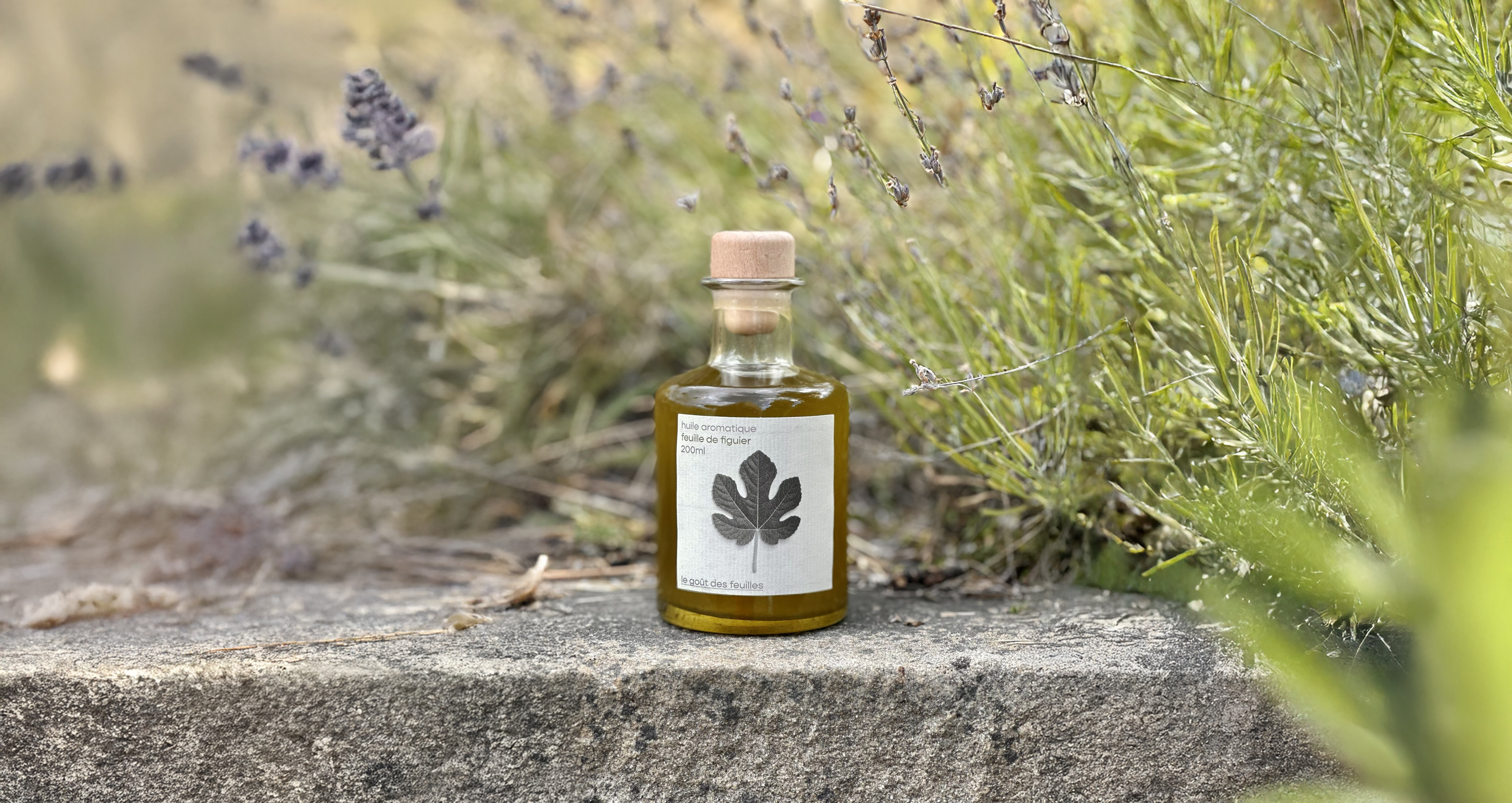 Huile aromatique feuille de figuier – Le Goût des Feuilles